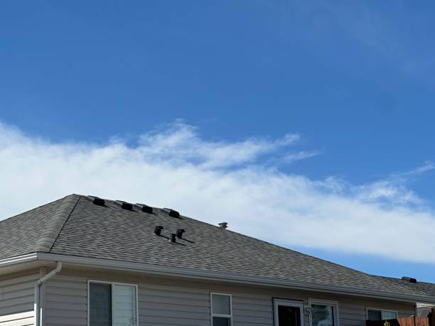 Best Asphalt Shingles Roofing  in Springville, IA